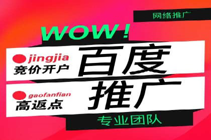 竞价推广实战技巧：成功案例分享会